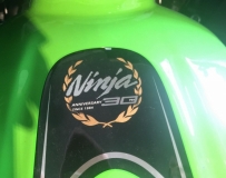 小忍300 Ninja30周年,24萬24期零利率 最後倒數1台~別再錯過