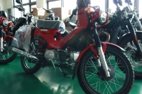 進口小玩家....HONDA   CC110    等您鑑賞....